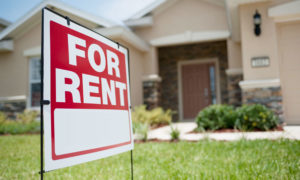 Read more about the article Rise of the Renter