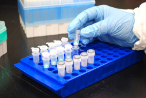 Once samples are pooled, they are RNA-extracted to purify the sample for COVID-19 testing.
