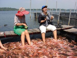 Visitors get a fish foot massage at Cinnamon Island, home to a fish farm.