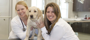 Read more about the article Highland Animal Hospital